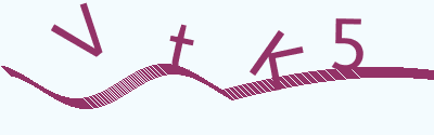 验证码